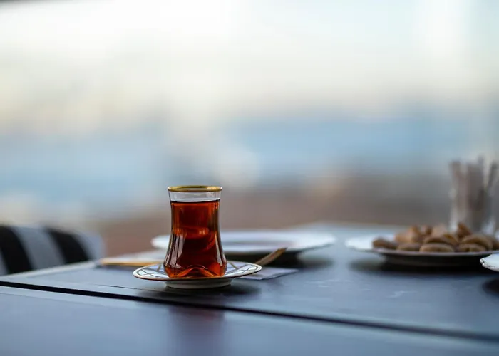 Ferman Port - Special Category Istanbul